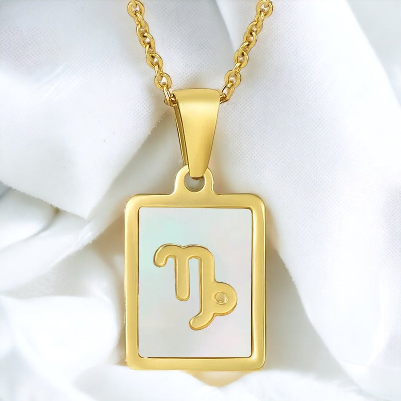 Dainty Capricorn Horoscope Necklace